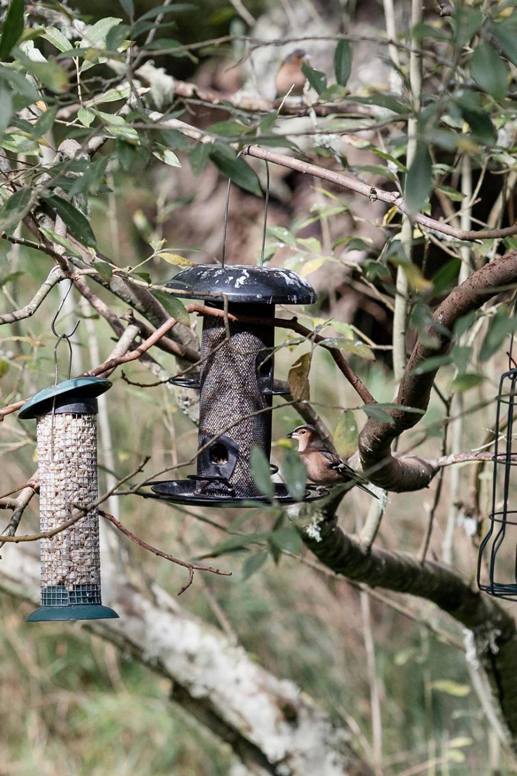 Siskin Guest Suite Kinrara Luaran gambar