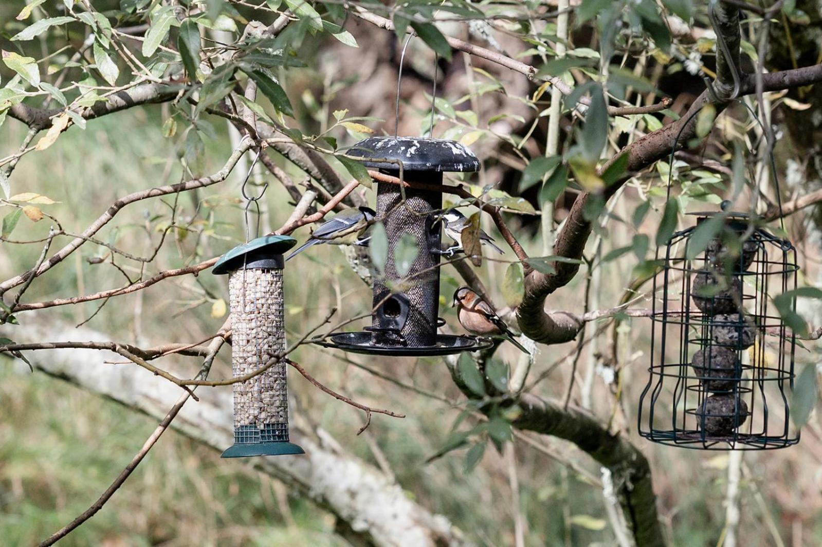 Siskin Guest Suite Kinrara Luaran gambar